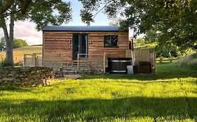 Stag Lodge Pod